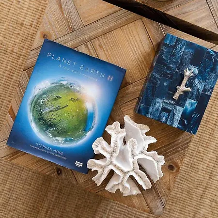 Апартаменты Stylish With View Портиман