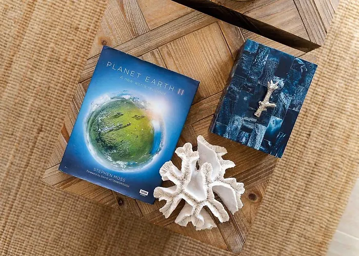 Daire Stylish With View Portimão